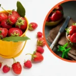 The Sweet Revolution of Omgiestrawberry: A Flavorful Delight You Can’t Miss