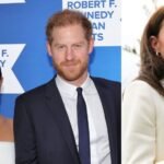 Who is Daniela Elser? Unpacking Her Influence and Insights